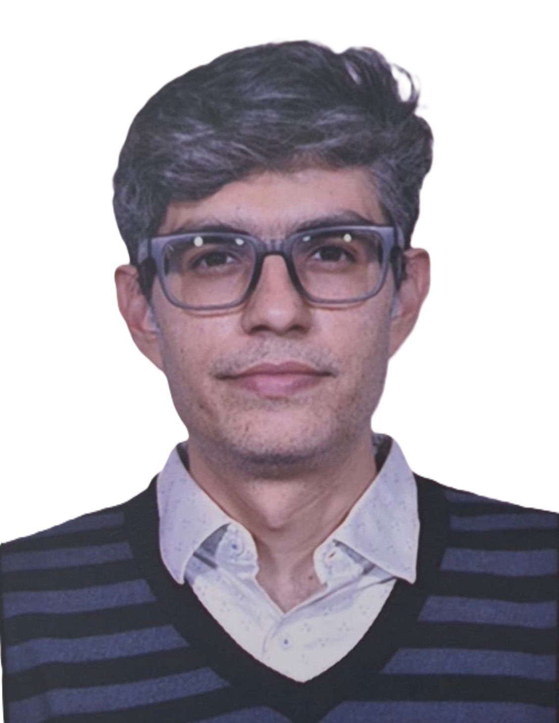 CA Vijay Bellani — Director at LedgerFlow Solutions